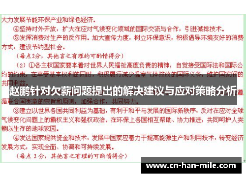 赵鹏针对欠薪问题提出的解决建议与应对策略分析