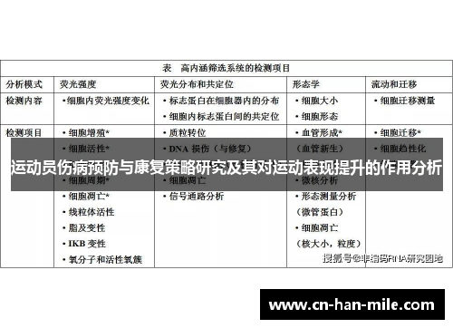 运动员伤病预防与康复策略研究及其对运动表现提升的作用分析