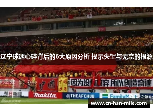 辽宁球迷心碎背后的6大原因分析 揭示失望与无奈的根源